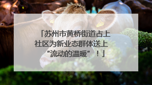 苏州市黄桥街道占上社区为新业态群体送上“流动的温暖”！
