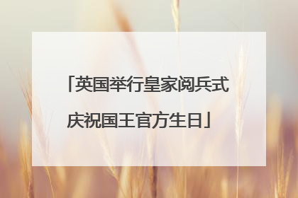 英国举行皇家阅兵式庆祝国王官方生日