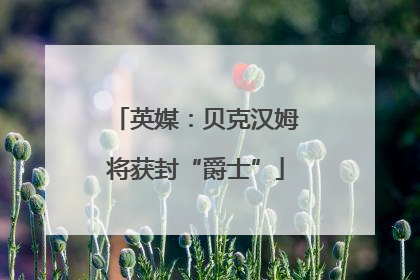 英媒：贝克汉姆将获封“爵士”