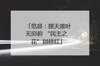范县：接天莲叶无穷碧 “民主之花”别样红