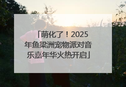 萌化了！2025年鱼梁洲宠物派对音乐嘉年华火热开启
