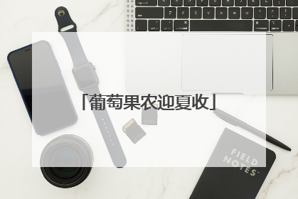 葡萄果农迎夏收