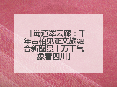 蜀道翠云廊：千年古柏见证文旅融合新图景丨万千气象看四川
