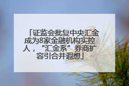 证监会批复中央汇金成为8家金融机构实控人，“汇金系”券商扩容引合并遐想