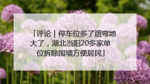 评论｜停车位多了遛弯地大了，湖北当阳20多家单位拆除围墙方便居民