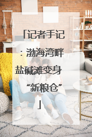 记者手记：渤海湾畔盐碱滩变身“新粮仓”