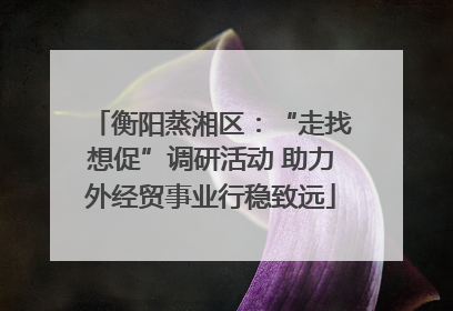 衡阳蒸湘区：“走找想促”调研活动 助力外经贸事业行稳致远