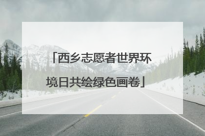 西乡志愿者世界环境日共绘绿色画卷