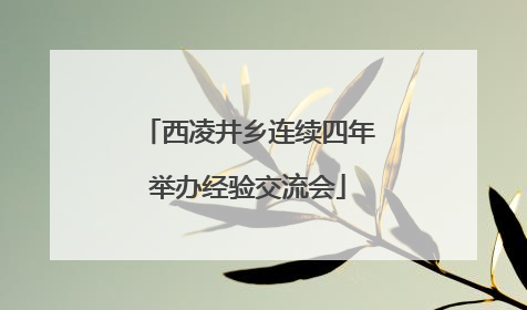 西凌井乡连续四年举办经验交流会