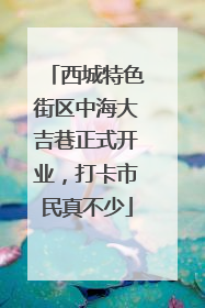 西城特色街区中海大吉巷正式开业，打卡市民真不少