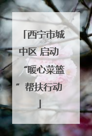 西宁市城中区 启动“暖心菜篮”帮扶行动