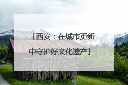 西安：在城市更新中守护好文化遗产