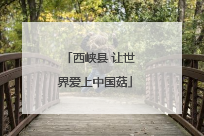 西峡县 让世界爱上中国菇