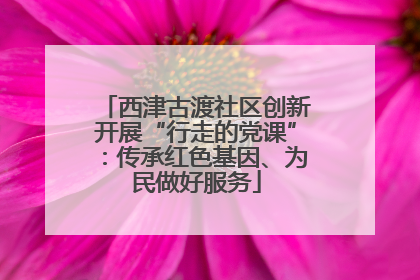 西津古渡社区创新开展“行走的党课”：传承红色基因、为民做好服务