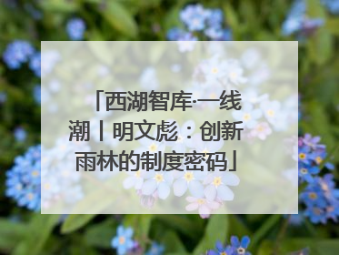 西湖智库·一线潮丨明文彪：创新雨林的制度密码