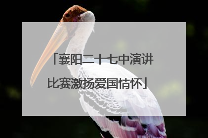 襄阳二十七中演讲比赛激扬爱国情怀