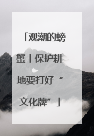 观潮的螃蟹丨保护耕地要打好“文化牌”