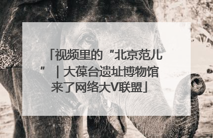 视频里的“北京范儿”｜大葆台遗址博物馆来了网络大V联盟