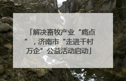 解决畜牧产业“痛点”，济南市“走进千村万企”公益活动启动