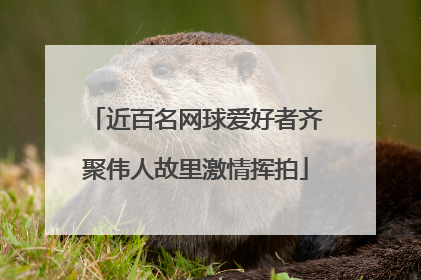 近百名网球爱好者齐聚伟人故里激情挥拍