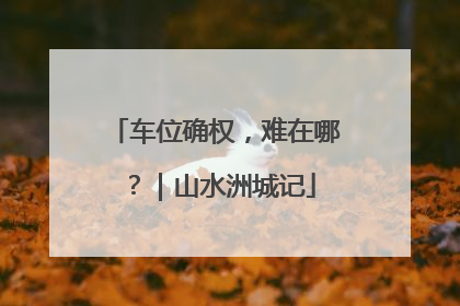 车位确权，难在哪？｜山水洲城记