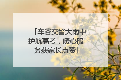 车谷交警大雨中护航高考，暖心服务获家长点赞