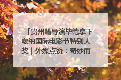 贵州籍导演毕赣拿下戛纳国际电影节特别大奖｜外媒点赞：奇妙而广阔的纯粹电影梦