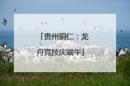 贵州铜仁：龙舟竞技庆端午