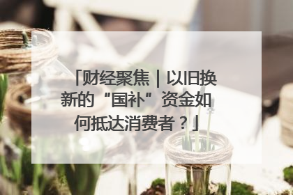 财经聚焦｜以旧换新的“国补”资金如何抵达消费者？
