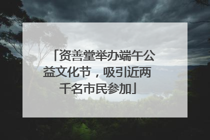 资善堂举办端午公益文化节，吸引近两千名市民参加