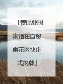 赞比亚国家馆在自贸雨花区块正式揭牌
