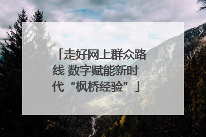 走好网上群众路线 数字赋能新时代“枫桥经验”