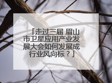 走过三届 眉山市卫星应用产业发展大会如何发展成行业风向标？