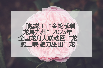 超燃！“金蛇献瑞 龙舞九州”2025年全国龙舟大联动暨“龙腾三峡·魅力巫山”龙舟邀请赛圆满落幕！