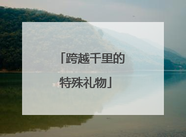 跨越千里的特殊礼物