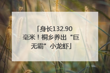身长132.90毫米！桐乡养出“巨无霸”小龙虾