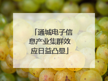 通城电子信息产业集群效应日益凸显