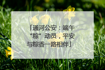 通河公安：端午“粽”动员，平安与粽香一路相伴