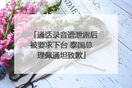 通话录音遭泄露后被要求下台 泰国总理佩通坦致歉