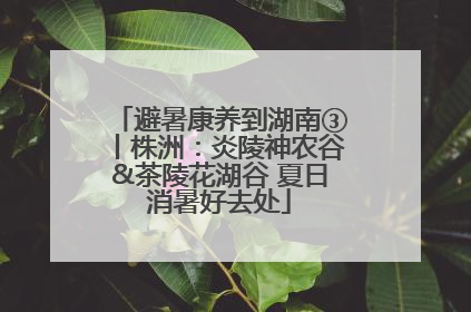 避暑康养到湖南③丨株洲：炎陵神农谷&茶陵花湖谷 夏日消暑好去处