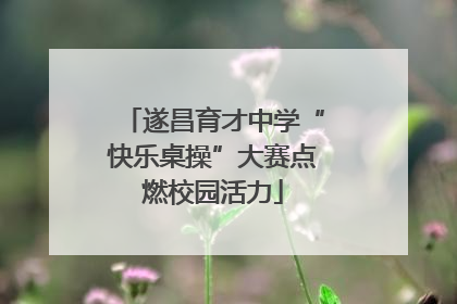 遂昌育才中学“快乐桌操”大赛点燃校园活力