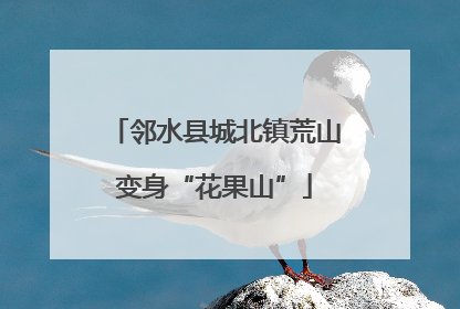 邻水县城北镇荒山变身“花果山”