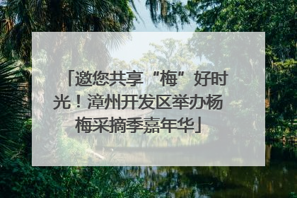 邀您共享“梅”好时光！漳州开发区举办杨梅采摘季嘉年华