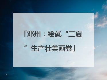 邓州：绘就“三夏”生产壮美画卷
