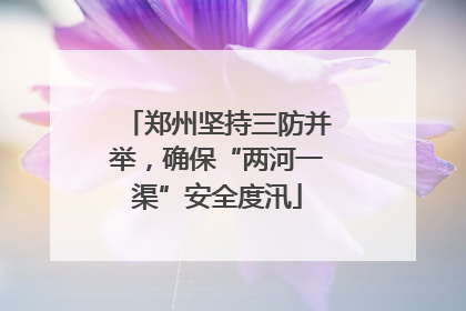 郑州坚持三防并举，确保“两河一渠”安全度汛