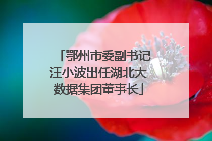 鄂州市委副书记汪小波出任湖北大数据集团董事长