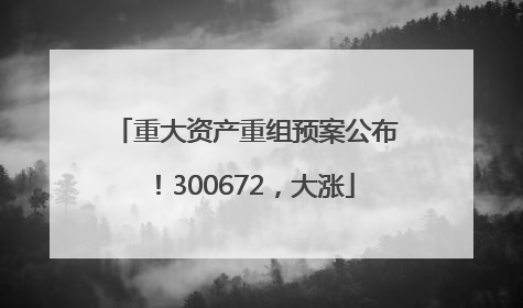 重大资产重组预案公布！300672，大涨