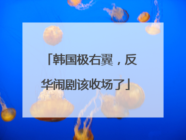 韩国极右翼，反华闹剧该收场了