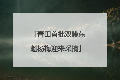 青田首批双膜东魁杨梅迎来采摘