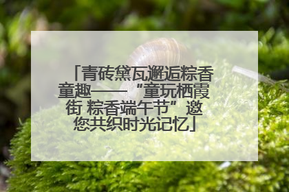 青砖黛瓦邂逅粽香童趣——“童玩栖霞街 粽香端午节”邀您共织时光记忆